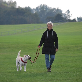 Lugares adonde ir a pasear