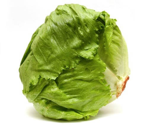 Iceberg Lettuce