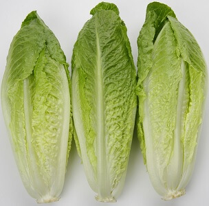 Romaine